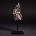 Genuine Muonionalusta Meteorite on Metal Stand // 5.2 lb