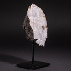 Genuine Muonionalusta Meteorite on Metal Stand // 5.2 lb