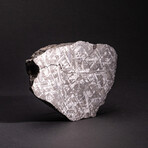 Genuine Muonionalusta Meteorite Slab // 7.5 lb