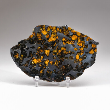 Genuine Natural Seymchan Pallasite Meteorite Slice with Acrylic Display Stand // 100 g