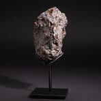 Genuine Muonionalusta Meteorite on Metal Stand // 5.2 lb