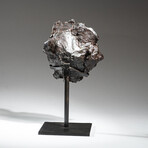 Genuine Sikhote Alin Meteorite on Metal Stand // 6.5 lb