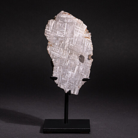 Genuine Muonionalusta Meteorite on Metal Stand // 5.2 lb