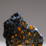 Genuine Natural Seymchan Pallasite Meteorite Slice with Acrylic Display Stand // 46.3 g