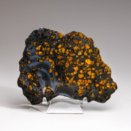 Genuine Natural Seymchan Pallasite Meteorite Slice with Acrylic Display Stand // 225 g