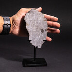 Genuine Muonionalusta Meteorite on Metal Stand // 5.2 lb