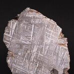 Genuine Muonionalusta Meteorite on Metal Stand // 5.2 lb