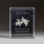 Genuine Fulgurite Lightning Fused Sand in Acrylic Display Box