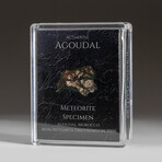 Genuine Agondal Meteorite In Acrylic Display Box
