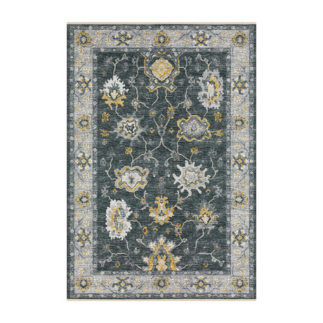 Bordered Persian // Shadow (1'8" x 2'6" Accent Rug)