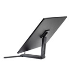 Lookstand Max + Detach Mount // Steel