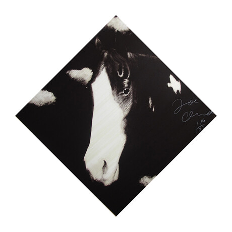 Joe Andoe // Horse I  // 1989