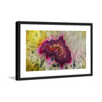 Colorful Composition Framed Print (8"H x 12"W x 1.5"D)