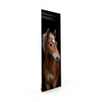 Signature Series Glass Heater // Horse (48"L x 16"W)