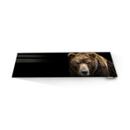 Signature Series Glass Heater // Bear (48"L x 16"W)