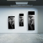 Signature Series Glass Heater // Elephant (48"L x 16"W)