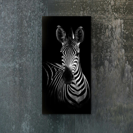 Signature Series Glass Heater // Zebra (48"L x 16"W)