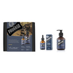 Duo Beard Set // Care Oil + Shampoo (Wood + Spice)