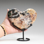 Genuine Crazy Lace Agate Heart on Metal Stand