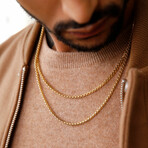 Round Box Link Chain Necklace 10K Gold // 2.5mm (18")