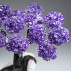 The Positivity Tree // Genuine Custom Amethyst Clustered Gemstone Tree on Rose Quartz Matrix v.2