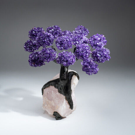 The Positivity Tree // Genuine Custom Amethyst Clustered Gemstone Tree on Rose Quartz Matrix v.2
