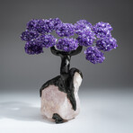 The Positivity Tree // Genuine Custom Amethyst Clustered Gemstone Tree on Rose Quartz Matrix v.2