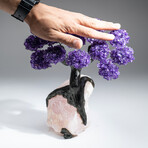 The Positivity Tree // Genuine Custom Amethyst Clustered Gemstone Tree on Rose Quartz Matrix v.2