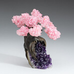 Large Genuine Rose Quartz Clustered Gemstone Tree on Amethyst Matrix // The Love Tree
