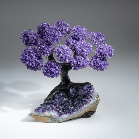 The Protection Tree // Genuine Custom Amethyst Clustered Gemstone Tree on Amethyst Matrix