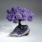 The Protection Tree // Genuine Custom Amethyst Clustered Gemstone Tree on Amethyst Matrix