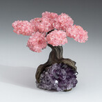 Medium Genuine Rose Quartz Clustered Gemstone Tree on Amethyst Matrix // The Love Tree