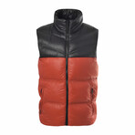 Jim Vest // Rust (S)