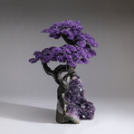 The Protection Tree // Massive Custom Amethyst Clustered Gemstone Tree on Amethyst Matrix