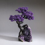 The Protection Tree // Massive Custom Amethyst Clustered Gemstone Tree on Amethyst Matrix