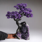 The Protection Tree // Massive Custom Amethyst Clustered Gemstone Tree on Amethyst Matrix