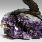 The Money Tree // Custom Citrine Clustered Gemstone Tree on Amethyst Matrix