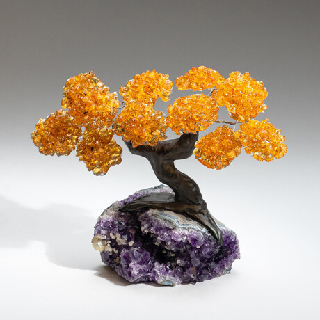 The Money Tree // Custom Citrine Clustered Gemstone Tree on Amethyst Matrix