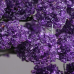 The Protection Tree // Massive Custom Amethyst Clustered Gemstone Tree on Amethyst Matrix