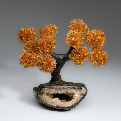 The Calming Tree // Custom Genuine Citrine Clustered Gemstone Tree on Citrine Matrix
