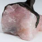 Genuine Amethyst Clustered Gemstone Tree on Rose Quartz Matrix // Large