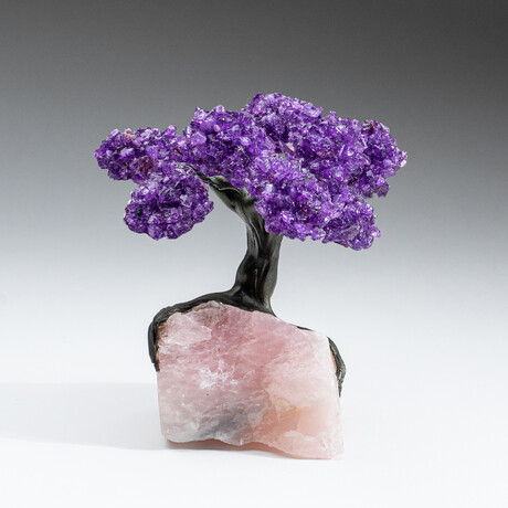 Genuine Amethyst Clustered Gemstone Tree on Rose Quartz Matrix // Large