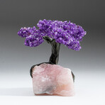 Genuine Amethyst Clustered Gemstone Tree on Rose Quartz Matrix // Large