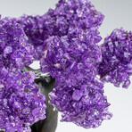 Genuine Amethyst Clustered Gemstone Tree on Rose Quartz Matrix // Large