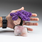 Genuine Amethyst Clustered Gemstone Tree on Rose Quartz Matrix // Large