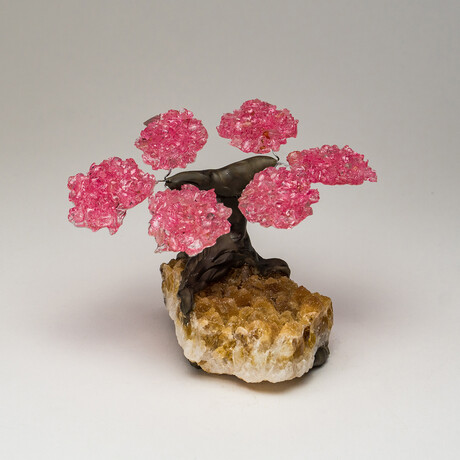 Genuine Rose Quartz Clustered Gemstone Tree on Citrine Matrix // Small