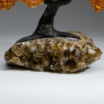 The Calming Tree // Custom Genuine Citrine Clustered Gemstone Tree on Citrine Matrix v.1