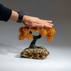 The Calming Tree // Custom Genuine Citrine Clustered Gemstone Tree on Citrine Matrix v.1