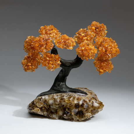 The Calming Tree // Custom Genuine Citrine Clustered Gemstone Tree on Citrine Matrix v.1