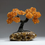 The Calming Tree // Custom Genuine Citrine Clustered Gemstone Tree on Citrine Matrix v.1